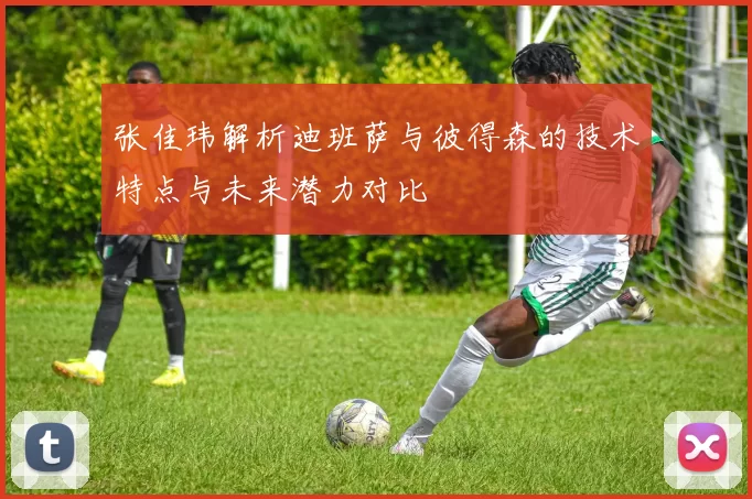张佳玮解析迪班萨与彼得森的技术特点与未来潜力对比