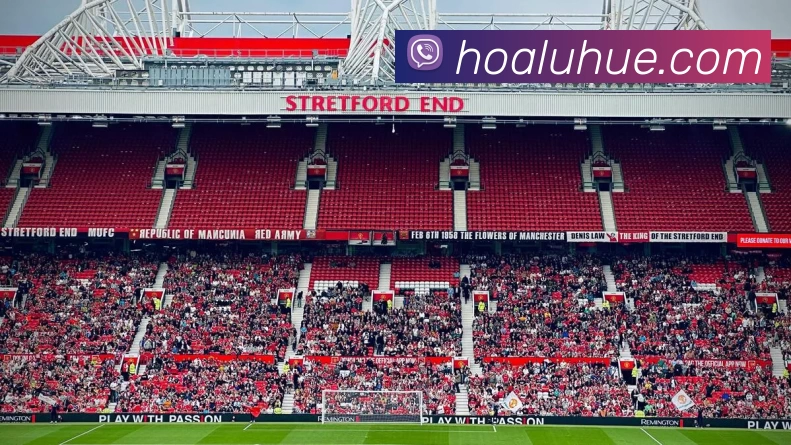 体育赛事直播